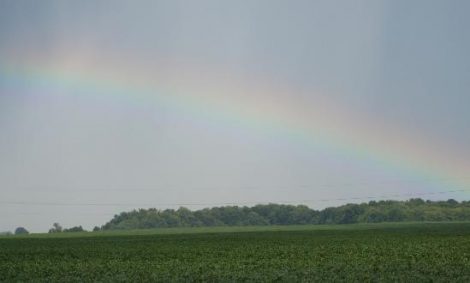 Stillness in the Storm Image